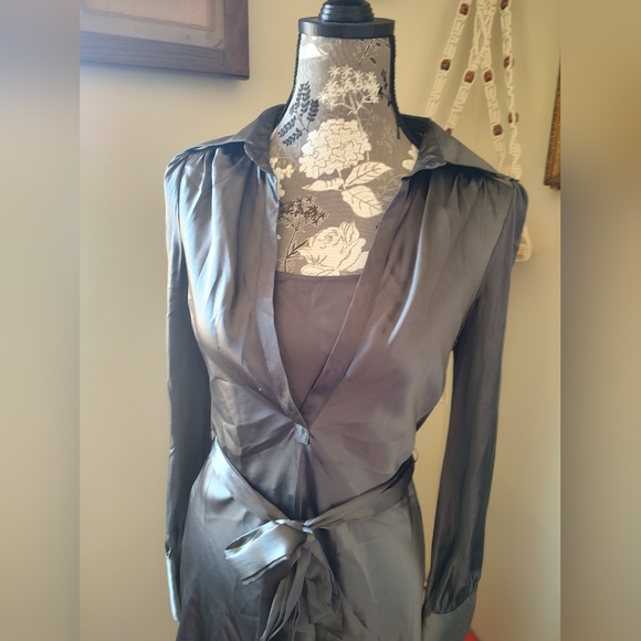 Silver Dress - Picture 5 of 5